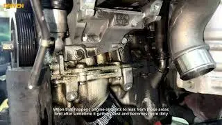 Engine Oil Leak? Here's Why O-Rings Could Be the Culprit