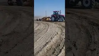 #shortvideo