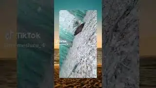 fix dah, pohon ini pasti di tarik pake tali dari atas biar nggak tau 🗿🗿🗿