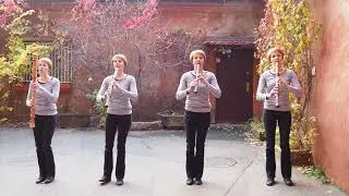 Wellerman (recorder cover)