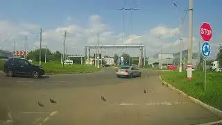 Кольцо главное и выезд,  КТО УСТУПАЕТ ? !!!