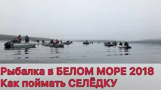 МОРСКАЯ РЫБАЛКА в Белом море 2018. Как поймать СЕЛЁДКУ