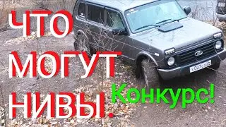 🔥 ЧТО МОГУТ НИВЫ. КОНКУРС 🔥 WHAT NIVA CAN DO. CONTEST.