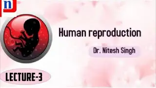 Human reproduction -Lecture-3