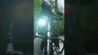 Мир, Harley, Май! 