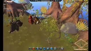 usando bot farm albion