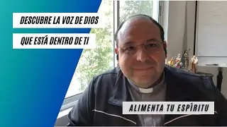 Homilía del santo Evangelio según San Juan 1, 6-8. 19-28