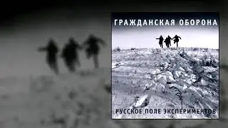 гражданская оборона - винтовка
