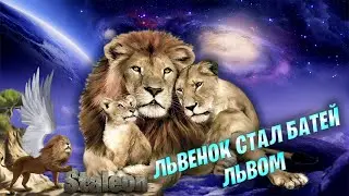 Потерянный лев вернулся, Ребята я стал ПАПОЙ))