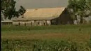 Cuba, Tobacco Plantation - TV Traveller - [BroadbandTV]