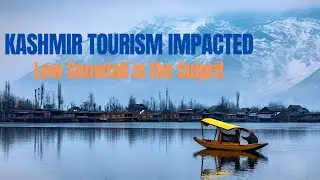 Less Snowfall in Kashmir Results in Major Dip in Tourists Footfall