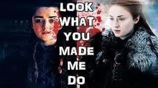 Sansa & Arya | LOOK WHAT YOU MADE ME DO