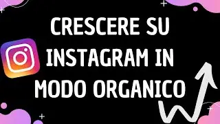 COME AUMENTARE I FOLLOWERS SU INSTAGRAM IN MODO ORGANICO | METODO TESTATO!