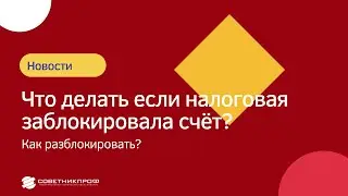 Налоговая заблокировала счет! Что делать? Как разблокировать? 