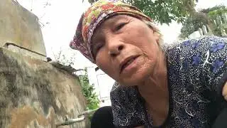 Cách tưới nước cho cây trồng trong bồn hoa p2