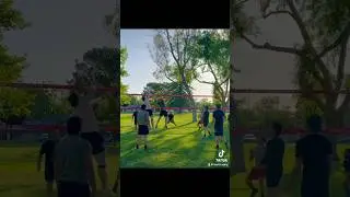 VOLLEYBALL HIGHLIGHTS 🏐 #volleyball #vball