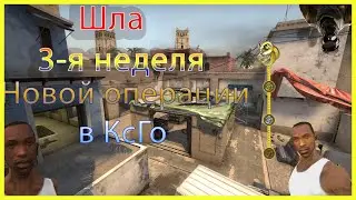 Кс Го. Новая операция. 3-я неделя новой операции.