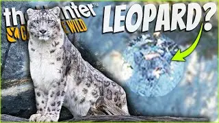 WAS SNOW LEOPARD JUST CONFIRMED?! The Hunter Call of the wild