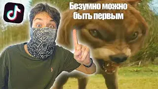 ДУША ВОЛКА В ТИК ТОК