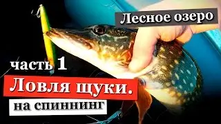 The pike fishing in the spring is spinning. Lake fishing in the Leningrad region. Part 1.