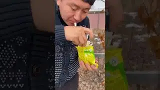 Балалықшаққа саяхат. Ностальгия