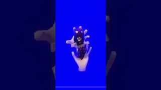 Танец хорька 
