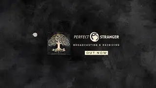 Perfect Stranger & Twisted Sibling  - Frequency Initiation (2023 edit)