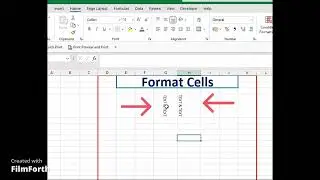 text format  in excel | how format text in Microsoft excel
