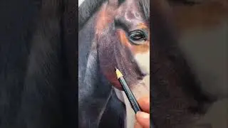 Tip to Draw Rich and Realistic Fur in Coloured Pencil 🐴 #bonnysnowdonacademy #horsedrawing #realism