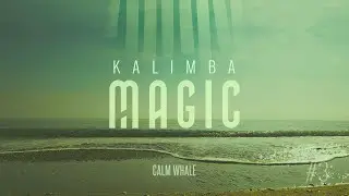 Kalimba Magic - Mbira, Shaman Drum & Rainstick [Full Snow Moon Feb 27 2021]