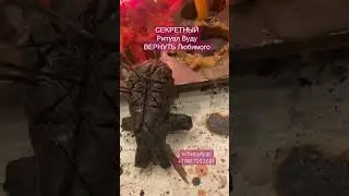 СЕКРЕТНЫЙ Ритуал Вуду ВЕРНУТЬ Любимого. 