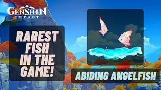 Abiding Angelfish Location | Rarest Fish in the Game | Genshin Impact 2.1