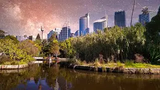 悉尼皇家植物园|DJI Mini 4 Pro D Log-M to HDR|Vườn Bách thảo Hoàng giaSydney |Royal Botanic Gardens Sydney |