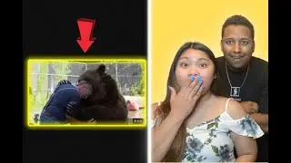 Animals Reunited With Their Owners After Years! Reaction