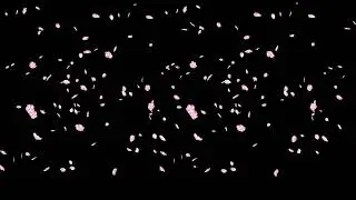 new black screen template effect video background new love template