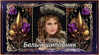 Белый шиповник.