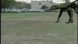 Martial arts