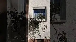 Муж не удержался.