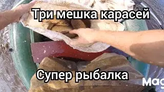 рыбалка,болото кишит рыбой