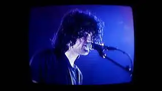 MJ Lenderman - Hangover Game (Live)