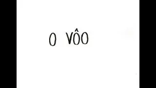 O Vôo