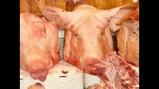 ИЗ СВИНОЙ  ГОЛОВЫ ДОМАШНЯЯ КОЛБАСА..100 % МЯСНОГО ВКУСА..ОТВАРИЛА ВСЕ И ВСЕ,ВУАЛЯ САЛЬТИСОН ГОТОВ.