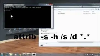 How to fix a hidden flash disk using the command prompt