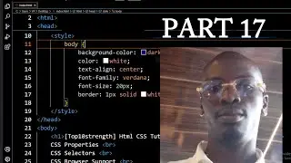 Html CSS Tutorial for Beginners to Advance: 17 HTML & CSS Basics Crash Course - CSS Cascading Order