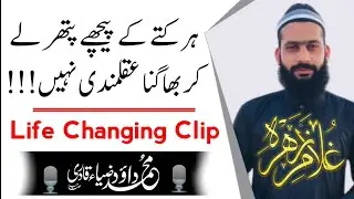 Har Kutty Kay Peechy Pathar Ly Kay Bhagna Aqal-mandi Nai | Muhamad Dawood Zia Qadri |GHULAM E ZAHRA