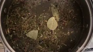 РАКИ Донские в квартире👌