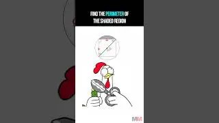 Find the Perimeter of the Shaded Region