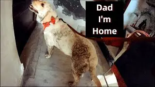 Dad Reaction When Max Came Home Dirty