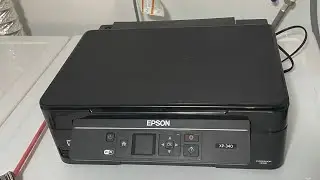How To Clean Ink Waste Pads On Epson XP Series Printers