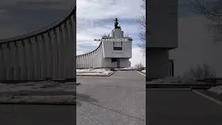 Выдержанная собака